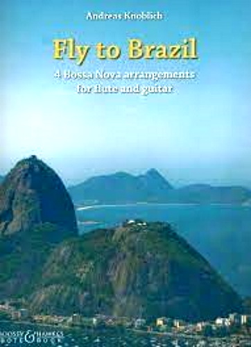 FLY TO BRAZIL