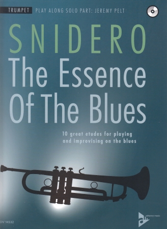 THE ESSENCE OF THE BLUES + CD