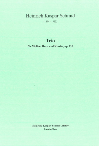 TRIO Op.110