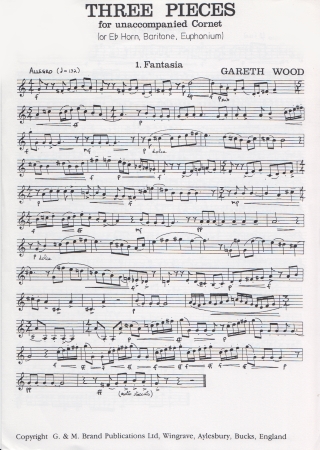 THREE PIECES for Solo Horn