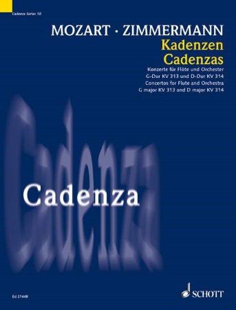 CADENZAS to the Concerto in G K313 and Concerto in D K314